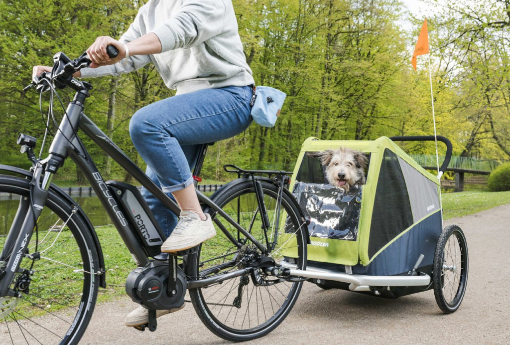 Cargo Trailers for eBikes The Complete Guide Electric Bike Report Electric Bike, Ebikes